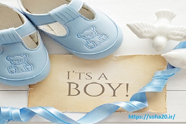 فایل PDF دستورالعمل غذایی رژیم تعیین جنسیت جنین ( رژیم پسر دار شدن ) با تخفیف ویژه 60 درصدی به مدت محدود